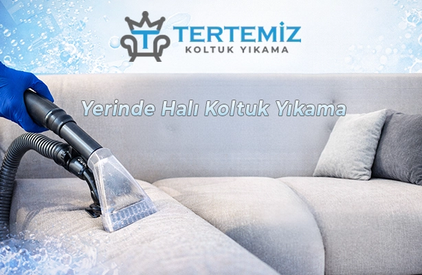 Yerinde Halı Koltuk Yıkama